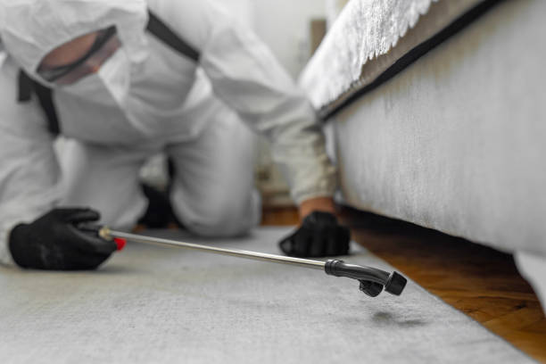 Professional Bed Bug Control technician working in Nappanee, IN