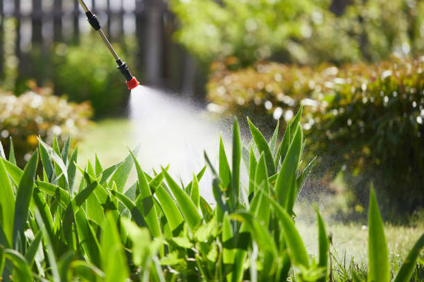 24/7 Emergency Bed Bug Control experts in Nappanee, IN